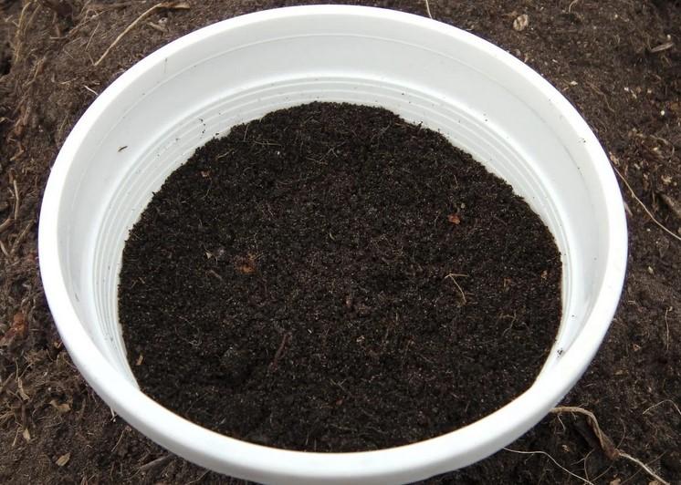 Спосіб килимової посадки цибулі. Вирощую до 1 кг зеленого пера в одному горщику за 2 тижні