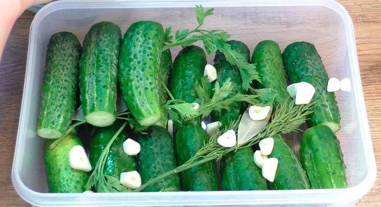 Рецепт найсмачніших малосольних огірків: роблю на мінералці, виходять дуже хрусткі