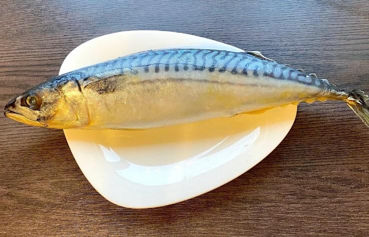 Засолювання скумбрії в пляшці: риба виходить ніжною і в міру солоною