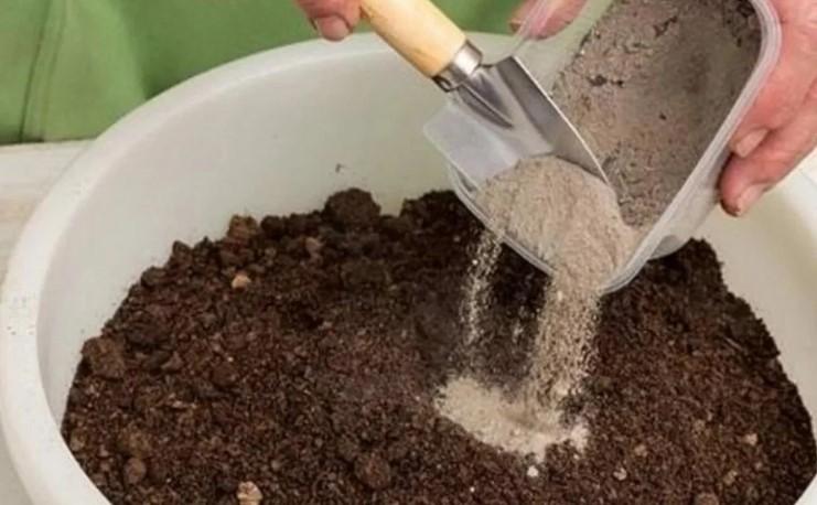 Така посадка перців у лютому ще жодного разу не підвела: сію 30 років