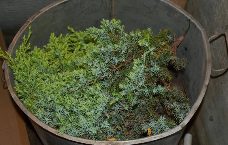 Навчилася незвичайному способу зберігання буряків: не проростає, не в'яне та чудово зберігається до 7 місяців