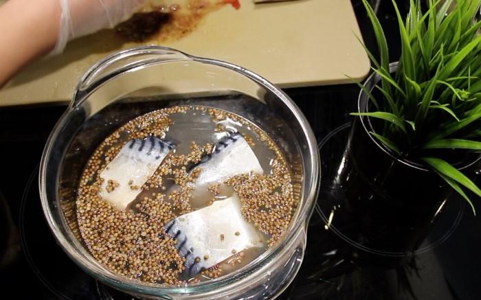 Як засолити скумбрію у домашніх умовах. Простий і дуже смачний рецепт