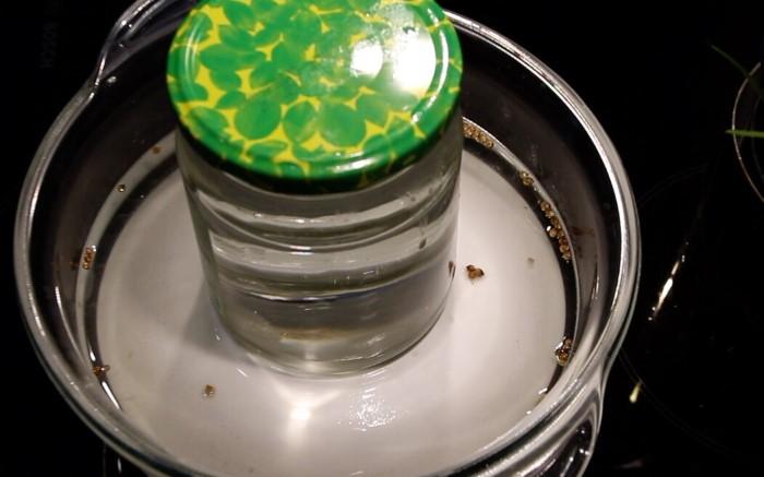 Як засолити скумбрію у домашніх умовах. Простий і дуже смачний рецепт