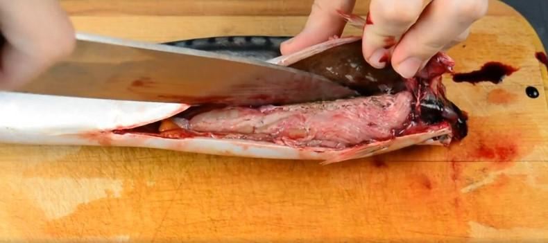 Можливо, це кращий рецепт малосольної риби. Делікатесна скумбрія для свята