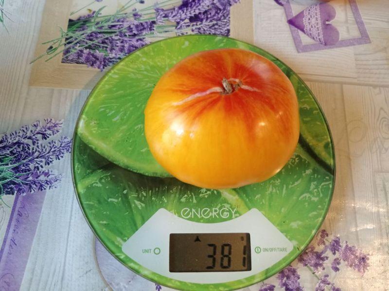 Цукровий помідор, який підкорив своїм смаком та красою