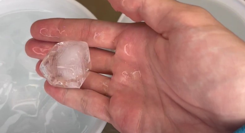 Насіння проросло на 3 день. Тільки вода і нічого більше