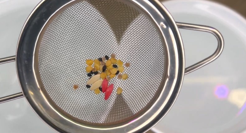 Насіння проросло на 3 день. Тільки вода і нічого більше