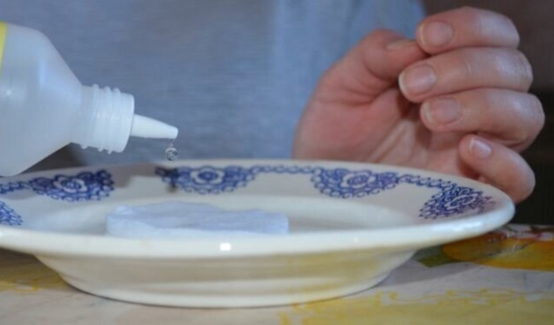 Підготовка насіння томатів. Чи потрібно знезаражувати та як пророщувати насіння