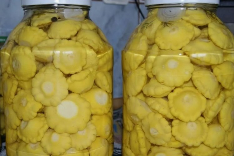 Цілі патисони як грузді на зиму