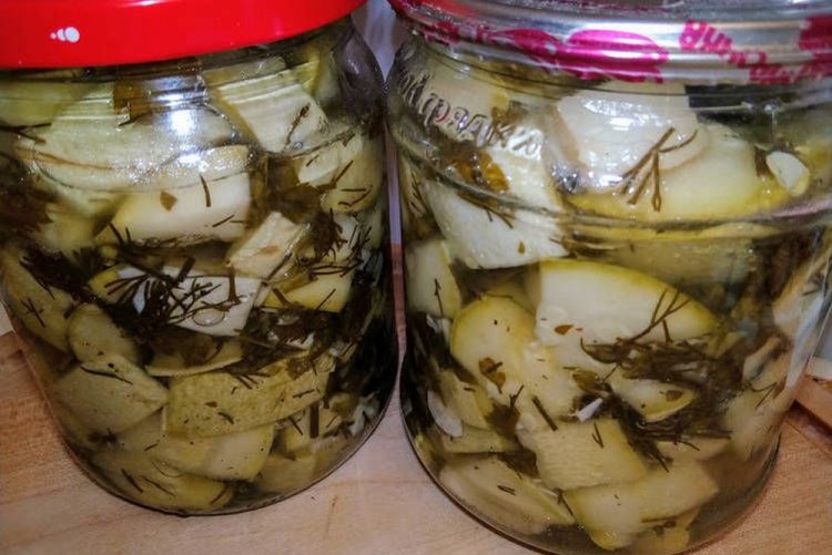 Патисони як гриби без стерилізації