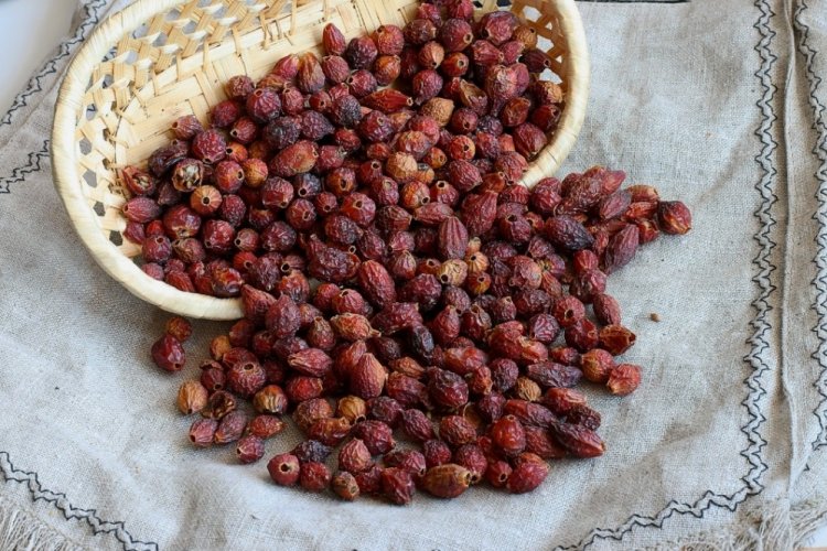 Сушена шипшина на зиму