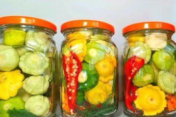 Патисони на зиму без стерилізації