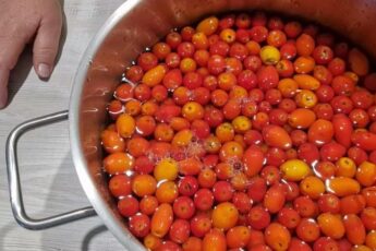 Шапшина на зиму, заготовка