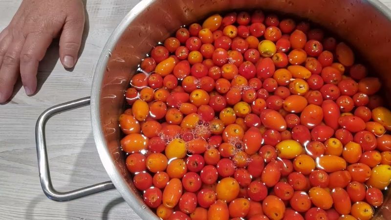 Шапшина на зиму, заготовка