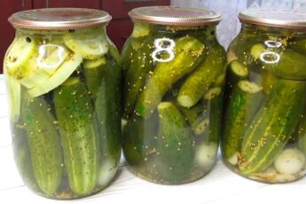 Улюблені огірки чоловіка на зиму