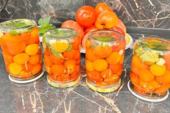 Помідори на зиму