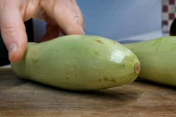 Три рецепти приготування страв з кабачка