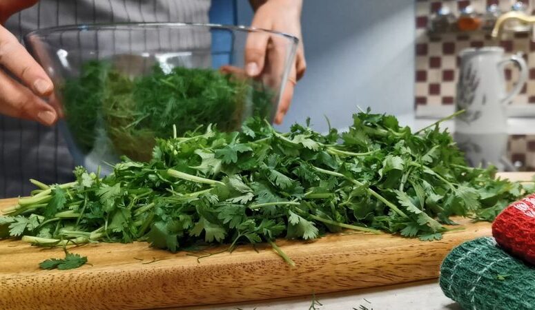 Заготівля зелені на зиму