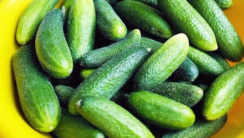 Рецепт солоних огірків. Як бочкові, зберігаються у квартирі