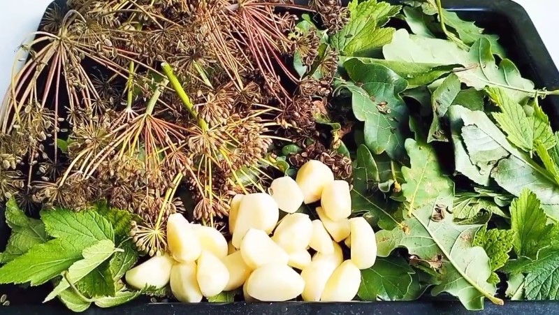 Рецепт солоних огірків. Як бочкові, зберігаються у квартирі