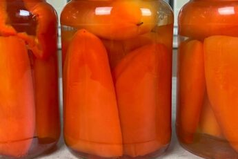 Маринований перець на зиму