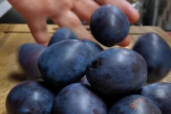 Слойки зі сливами