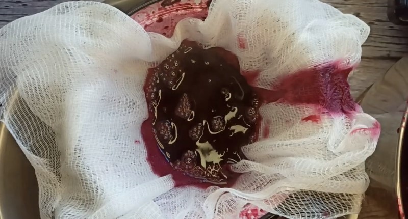 Найпростіший спосіб приготування домашнього соку з винограду на зиму