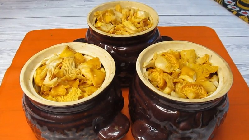 Поєднання в цій страві найкраще з найкращих. М'ясо, картопля і гриби