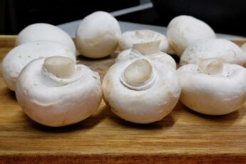 Запечені гриби під сирною шапочкою